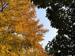 -白塘生态植物园