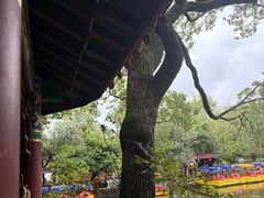 -文山荷鲜居(翠湖店)