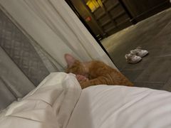 -法云安缦酒店