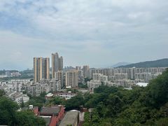 -福道