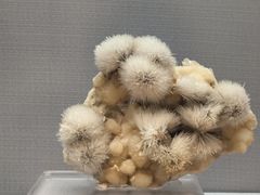 -湖南省地质博物馆