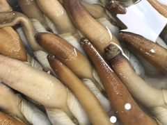 -蚝专家(北滘店)