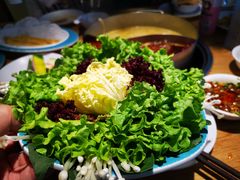 -青瓷火锅料理(西单大悦城店)