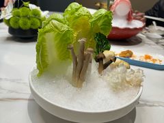 -鲐赏河豚(长寿店)