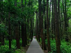 -同里国家湿地公园