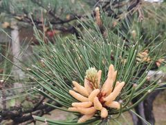 -驿舍·民國老营房院子私房菜(科学会堂店)