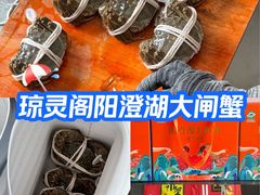 -阳澄湖大闸蟹·琼灵阁牌品牌连锁(吴中总店)