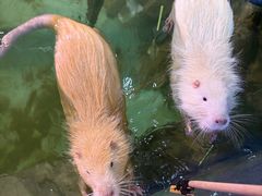 -正佳雨林生态植物园