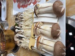 -清真军邺·金富苑肥牛(石坡街旗舰店)