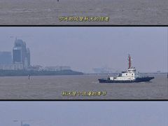 -上海滨江森林公园