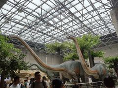 -国家自然博物馆