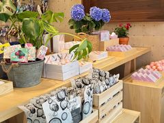 -春晖园度假酒店温泉