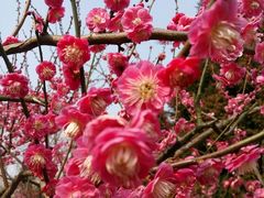 -白塘生态植物园