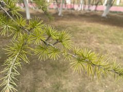 -滨湖塘西河公园