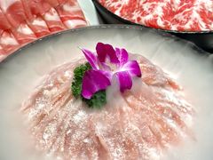 -蜀留香火锅·始于1999·原四川老火锅(白堤路店)
