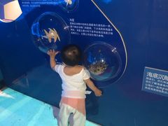 -沙沙哗啦海洋馆(华宇百花谷店)