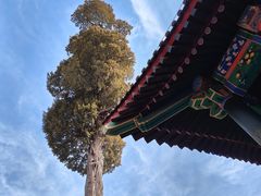 -恭王府博物馆