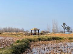 -西昌邛海湿地