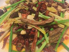 火爆鳝片-铁公鸡·四川料理(天环广场店)