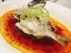 -凤城酒家(凤城食都店)