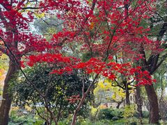 -申粤轩酒楼·三十年粤菜经典(丁香花园店)