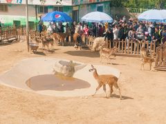 -西安秦岭野生动物园
