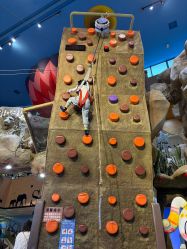 -卡通尼·Safari非洲探索乐园·生日会(金桥国际商业广场店)