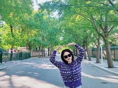 -三里屯东五街银杏大道