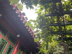 -顺承小院儿