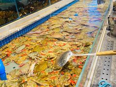 -一方渔歌蒸汽海鲜自助(文化路万达广场店)