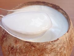 -椰爺爺·椰子冻砵仔糕