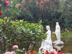 -深圳仙湖植物园