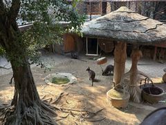 -长鹿旅游休博园