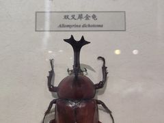 -昆明动物博物馆