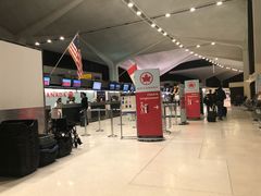 -纽瓦克自由国际机场