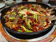 -老板恋上鱼(恒隆广场店)