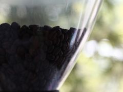 -隹木咖啡馆(宝龙广场店)