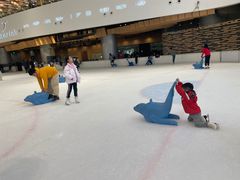 -TheRink大零溜冰场(IFS国金中心店)