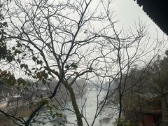 -王老头炒货(天坛东路店)