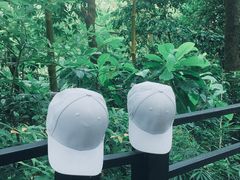 -广州市帽峰山景区