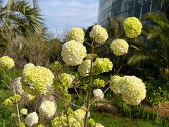 -昆明植物园