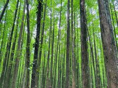 -山王坪喀斯特国家生态公园