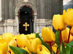 -王府井天主教堂