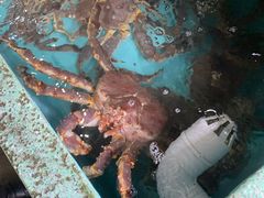 -海峡水产品交易中心(海鲜交易区)