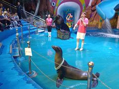-烟台海昌鲸鲨海洋公园
