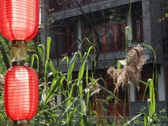 -龙潭水乡