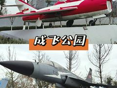 -成飞公园