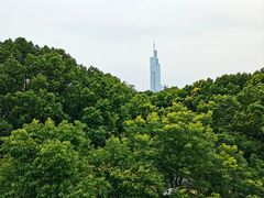 -紫峰大厦