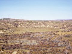 -塞罕坝国家级自然保护区