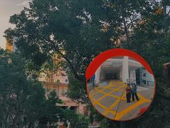 -香港大学